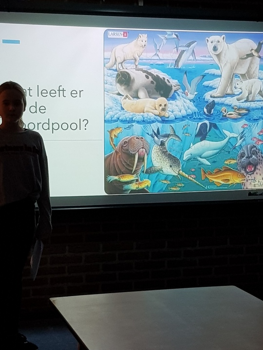 powerpoint presentatie